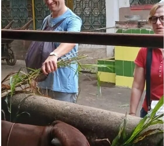 Markets And Temple Tour