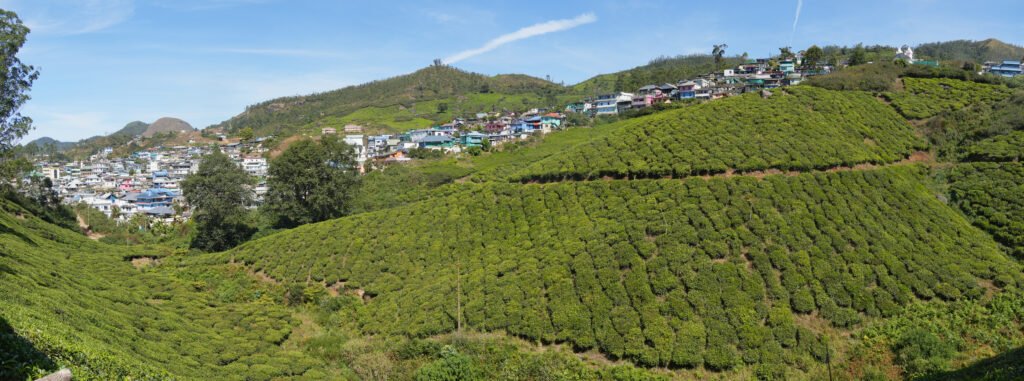 South India
