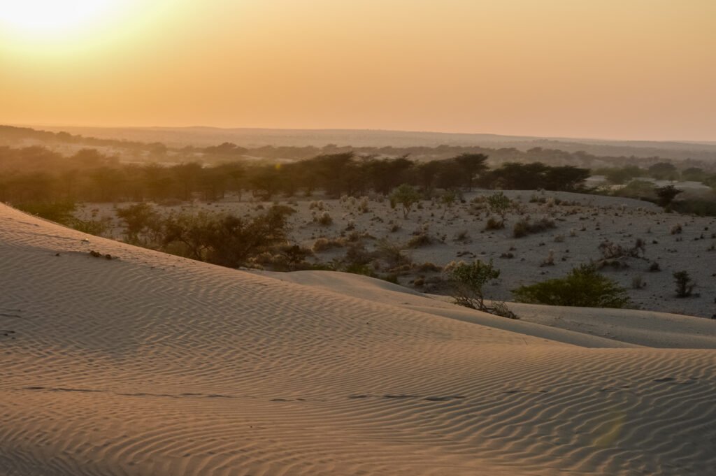 Rajasthan and Gujarat: Desert to Coast